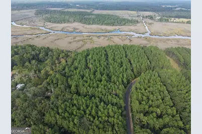 Lot 20 James Lane, White Oak, GA 31568 - Photo 8