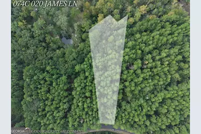 Lot 20 James Lane, White Oak, GA 31568 - Photo 2