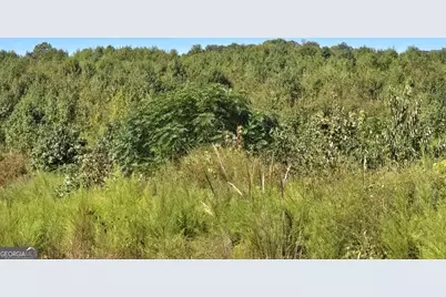 0000 Highway 172, Comer, GA 30629 - Photo 6