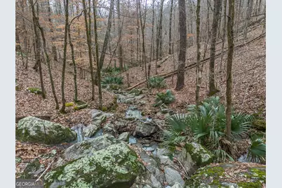 Tract 2 Dennis Creek Road, Talbotton, GA 31827 - Photo 34