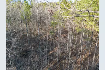 Tract 2 Dennis Creek Road, Talbotton, GA 31827 - Photo 44