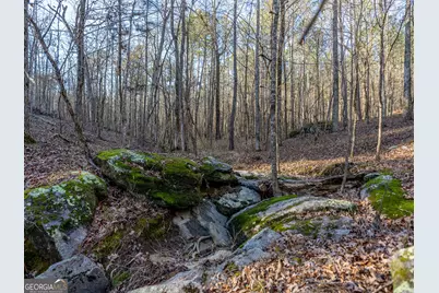 Tract 2 Dennis Creek Road, Talbotton, GA 31827 - Photo 60