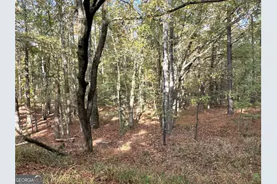 Tract 2 Dennis Creek Road, Talbotton, GA 31827 - Photo 30
