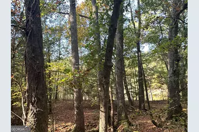 Tract 2 Dennis Creek Road, Talbotton, GA 31827 - Photo 26