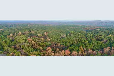 Tract 2 Dennis Creek Road, Talbotton, GA 31827 - Photo 6