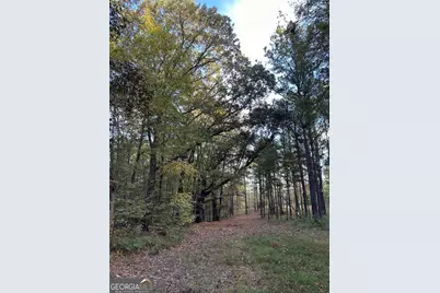 Tract 2 Dennis Creek Road, Talbotton, GA 31827 - Photo 14