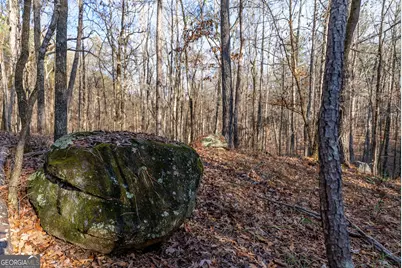 Tract 2 Dennis Creek Road, Talbotton, GA 31827 - Photo 56