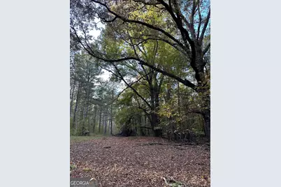 Tract 2 Dennis Creek Road, Talbotton, GA 31827 - Photo 20