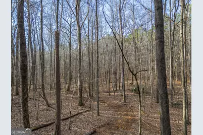 Tract 2 Dennis Creek Road, Talbotton, GA 31827 - Photo 42