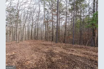 Tract 2 Dennis Creek Road, Talbotton, GA 31827 - Photo 48
