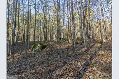 Tract 2 Dennis Creek Road, Talbotton, GA 31827 - Photo 46