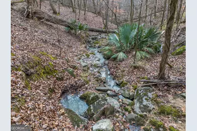 Tract 2 Dennis Creek Road, Talbotton, GA 31827 - Photo 38
