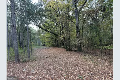 Tract 2 Dennis Creek Road, Talbotton, GA 31827 - Photo 22