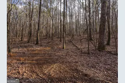 Tract 2 Dennis Creek Road, Talbotton, GA 31827 - Photo 54