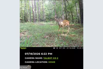 Tract 2 Dennis Creek Road, Talbotton, GA 31827 - Photo 4