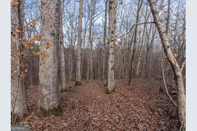 Tract 2 Dennis Creek Road, Talbotton, GA 31827 - Photo 50