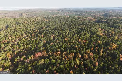 Tract 2 Dennis Creek Road, Talbotton, GA 31827 - Photo 18