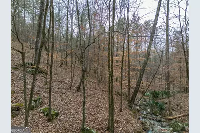 Tract 2 Dennis Creek Road, Talbotton, GA 31827 - Photo 36