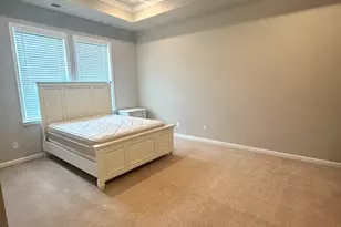 312 Basel Way, Hampton, GA 30228 - Photo 16