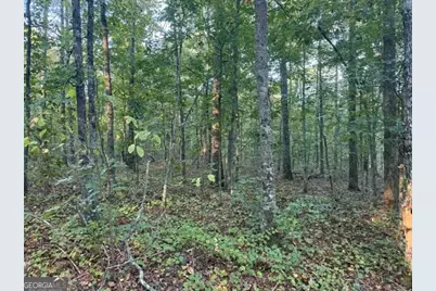 0 Owensby Lane, Adairsville, GA 30103 - Photo 2