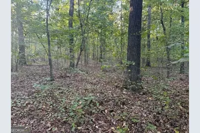0 Owensby Lane, Adairsville, GA 30103 - Photo 4