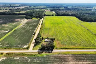 7767 Lodgetown Rd, Pelham, GA 31779 - Photo 42