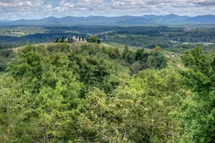 411 Highland Cir, Blue Ridge, GA 30513 - Photo 2