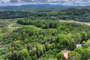 411 Highland Cir, Blue Ridge, GA 30513 - Photo 18