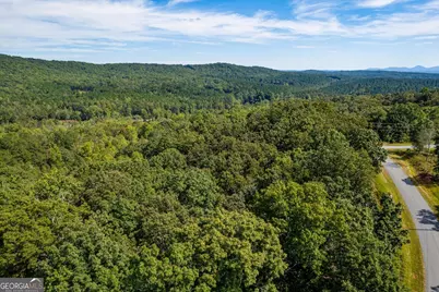 Lot 3 Blalock Mountain Road, Talking Rock, GA 30175 - Photo 18