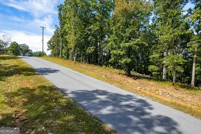 Lot 3 Blalock Mountain Road, Talking Rock, GA 30175 - Photo 28