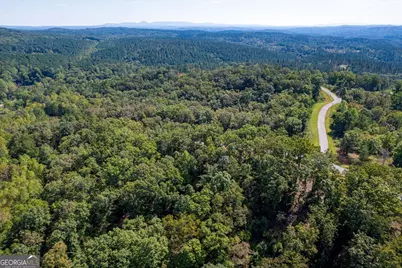 Lot 3 Blalock Mountain Road, Talking Rock, GA 30175 - Photo 22