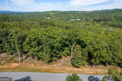 Lot 3 Blalock Mountain Road, Talking Rock, GA 30175 - Photo 26