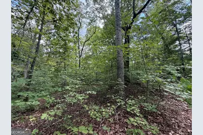 138 Harris Creek Drive #138, Ellijay, GA 30540 - Photo 38