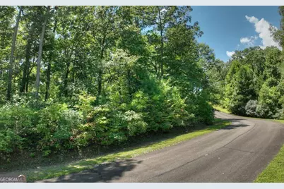 138 Harris Creek Drive #138, Ellijay, GA 30540 - Photo 6