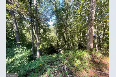 0 Eagle Court, Toccoa, GA 30577 - Photo 8