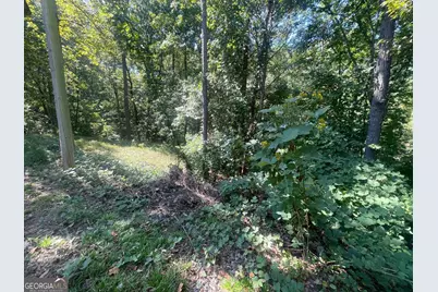 0 Eagle Court, Toccoa, GA 30577 - Photo 6
