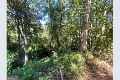 0 Eagle Court, Toccoa, GA 30577 - Photo 4