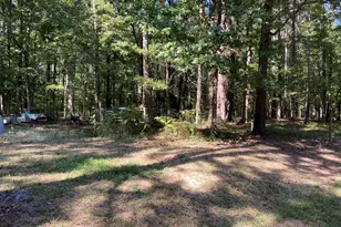 126 Caroline Ct, Gay, GA 30218 - Photo 22