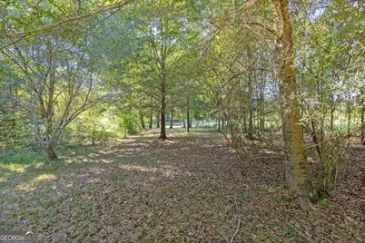 670 Bethany Church Road, Pine Mountain, GA 31822 - Photo 132