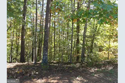 0 Zeppelin Strasse #LOT 78, Helen, GA 30545 - Photo 10