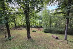 357 Little River Lane, Rabun Gap, GA 30568 - Photo 52