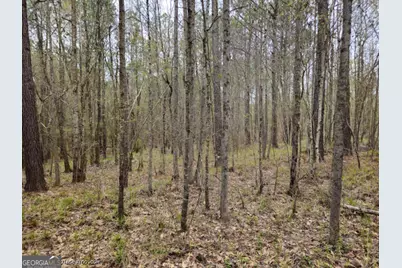 0 Tract 3C US Highway 341 N, Musella, GA 31066 - Photo 1