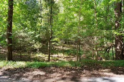 0 SW Oakmont Drive Southwest Drive SW #LOTS 10 AND 11, Rome, GA 30161 - Photo 10