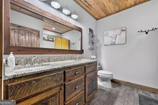 274 Hothouse Dr, Mineral Bluff, GA 30559 - Photo 36