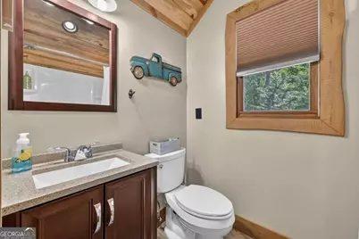 274 Hot House Drive, Mineral Bluff, GA 30559 - Photo 28