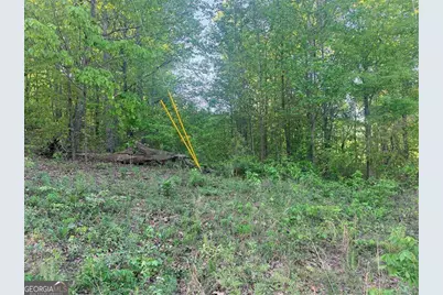0000 Mountain View Circle, Bremen, GA 30110 - Photo 6