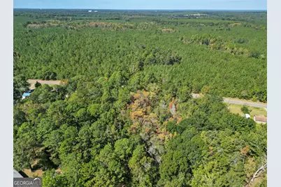 0 Friendship Road, Sylvania, GA 30467 - Photo 6