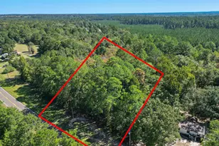 0 Friendship Rd, Sylvania, GA 30467 - Photo 1