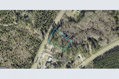 0 Friendship Road, Sylvania, GA 30467 - Photo 8