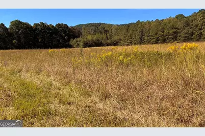36.55 Acres Back Valley Road, Lyerly, GA 30730 - Photo 1
